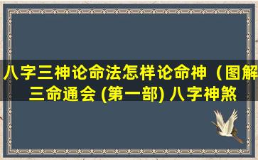 八字三神论命法怎样论命神（图解三命通会 (第一部) 八字神煞）